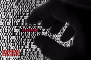 如何構(gòu)建CMS系統(tǒng) 從零開始的完整指南